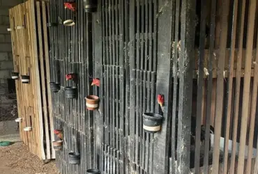 Polícia desarticula rinha de galos em Várzea Grande