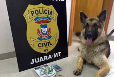 Polícia Civil prende dois por tráfico de drogas em Juara
