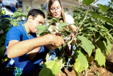 Projeto Hortas Escolares é mantido na rede estadual em 2026