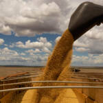 Se MT fosse um país seria o terceiro maior na produção de soja do mundo