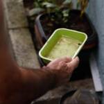 Sinop reforça medidas de prevenção contra a dengue e alerta para cuidados dentro das residências