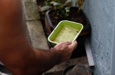 Sinop reforça medidas de prevenção contra a dengue e alerta para cuidados dentro das residências