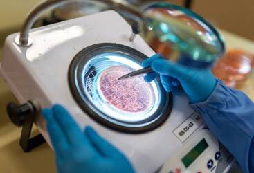 Uso de bioinsumos eleva em mais de 8% a produtividade da soja no Paraná