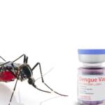 Vacina brasileira contra a dengue: por que os profissionais de saúde são a prioridade em Mato Grosso?