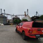 Arara-canindé é resgatada pelos bombeiros no setor industrial de Lucas do Rio Verde