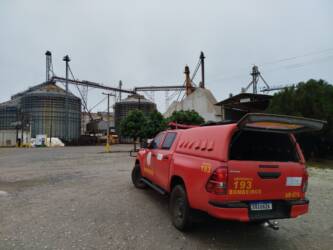 Arara-canindé é resgatada pelos bombeiros no setor industrial de Lucas do Rio Verde