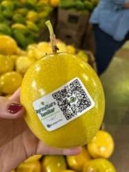 Tecnologia impulsiona agricultura familiar no médio-norte e norte de Mato Grosso