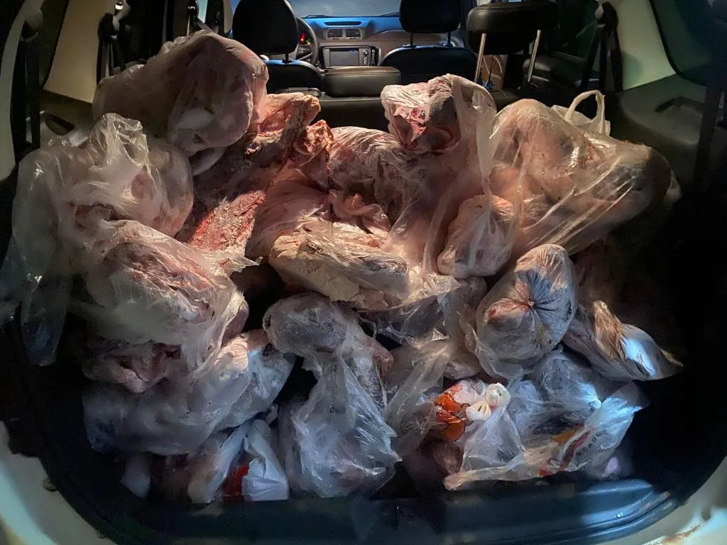 Polícia Civil identifica e conduz 11 pessoas para a delegacia por saquear carga de carne na MT-235
