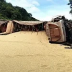 Carreta perde os freios e tomba na BR-364 ; carga de soja fica espalhada na pista