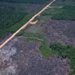 Desmatamento recua 35% na Amazônia e 6% no Cerrado, aponta Inpe