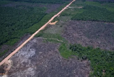 Desmatamento recua 35% na Amazônia e 6% no Cerrado, aponta Inpe