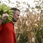 Pronaf ganha reforço com aprovação do uso do FGO pela Câmara