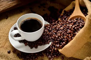Como é produzido o café mais caro do mundo?