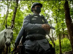 Foto de oficial da cavalaria da PM em Nova Mutum procurando suspeito