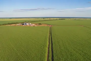 Custeio do milho 26/27 deverá ser 7% mais caro do que o 25/26 no Mato Grosso