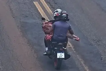 Polícia Civil identifica e conduz 11 pessoas para a delegacia por saquear carga de carne na MT-235