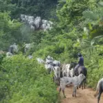 Economia brasileira cresce 2,5% em 2025 e mostra desaceleração no fim do ano