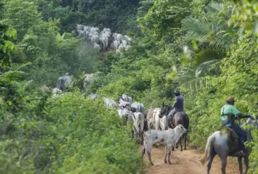 Economia brasileira cresce 2,5% em 2025 e mostra desaceleração no fim do ano