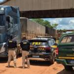 Fiscalização na BR-163: PRF e Ibama apreendem carga de madeira irregular vinda de Mato Grosso