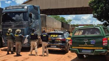 Fiscalização na BR-163: PRF e Ibama apreendem carga de madeira irregular vinda de Mato Grosso