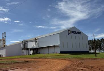 Gigante das Sementes: Polato investe R$ 100 milhões em nova planta industrial em Mato Grosso