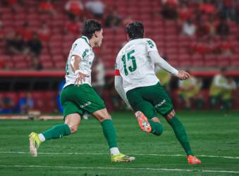 Palmeiras x Guarani ao vivo: onde assistir, horário e escalações pela 8ª rodada do Paulistão 2026. Imagem: Cesar Greco/Ag. Palmeiras