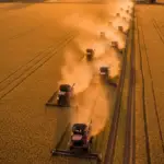 Mato Grosso consolida liderança e concentra 15,5% de toda a riqueza do agro nacional