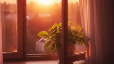 Luz solar suave entrando por uma janela e iluminando uma folha verde em sinal de serenidade e paz.