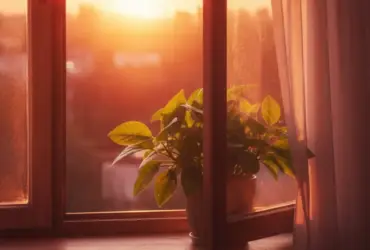 Luz solar suave entrando por uma janela e iluminando uma folha verde em sinal de serenidade e paz.