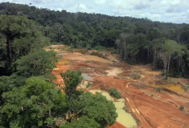 territorio dos Cinta Larga -CenárioMT
