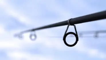 Período de reprodução dos peixes chega ao fim e pesca volta a ser permitida em rios do Centro-Sul e Sudeste