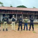 Forças federais desarticulam esquema milionário de madeira ilegal na divisa de Mato Grosso e Rondônia
