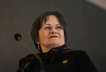 Ataques a Maria da Penha desafiam conquistas na proteção das mulheres