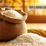 Governo Federal autoriza Conab a realizar leilões de apoio ao escoamento de arroz