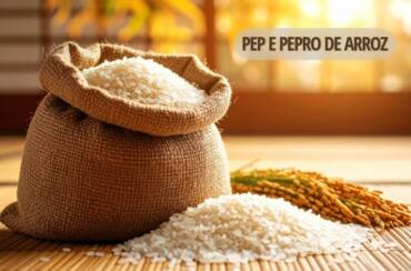 Governo Federal autoriza Conab a realizar leilões de apoio ao escoamento de arroz