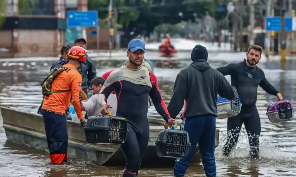 Lei de acolhimento cria política nacional para proteger animais em desastres