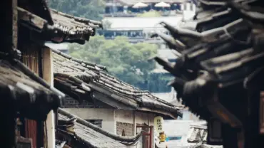 Horóscopo Chinês Hoje (02/03/2026): O Ciclo da Serpente e a Sorte Mensal