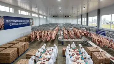 Carne bovina em frigorífico de Mato Grosso