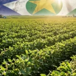 Mato Grosso está entre as economias mais ricas do Brasil e cresce três vezes acima da média nacional, aponta estudo