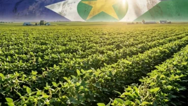 Mato Grosso está entre as economias mais ricas do Brasil e cresce três vezes acima da média nacional, aponta estudo