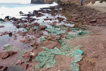 Plástico forma rochas e chega a ninhos de tartarugas na ilha de Trindade