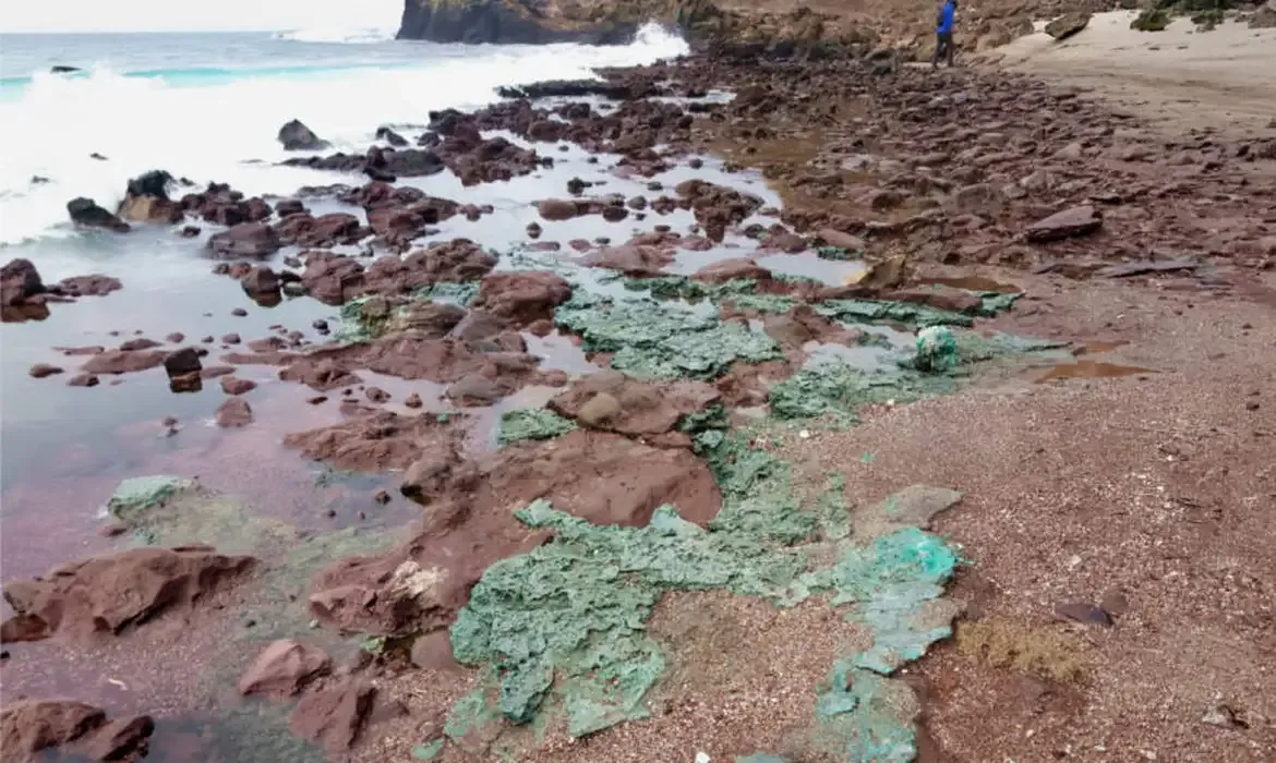 Plástico forma rochas e chega a ninhos de tartarugas na ilha de Trindade