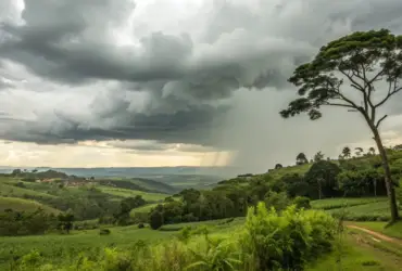 Nova Xavantina tem domingo nublado em 08/03/2026