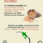217 -CenárioMT