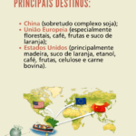317 -CenárioMT