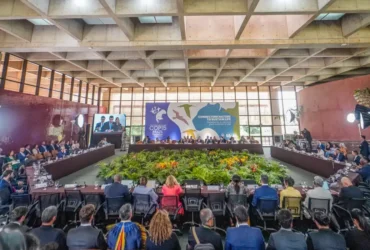 COP15 aprova medidas para proteção de espécies amazônicas
