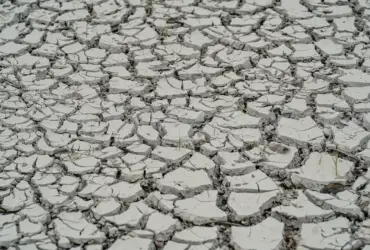 Estiagem leva governo a decretar emergência em 15 cidades do Nordeste