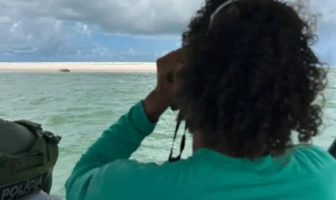 Elefante-marinho reaparece no litoral de Alagoas após dias desaparecido