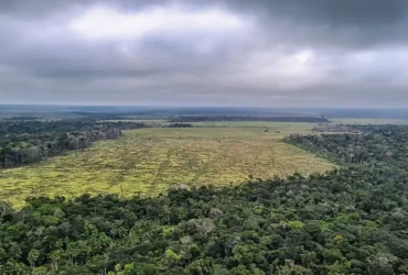 Emissões caem 16,7% no Brasil em 2024, mas meta climática segue em risco