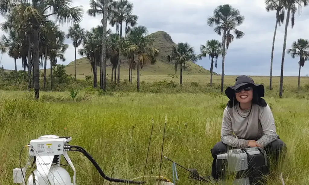 Estudo aponta que Cerrado pode armazenar mais carbono que a Amazônia